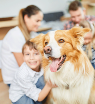 Image of a family and dog inside an apartment