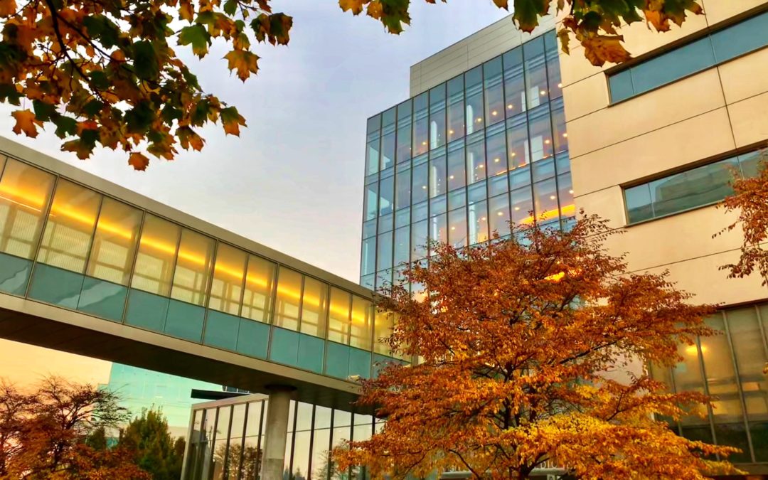 Kleiman Evangelista Eye Center